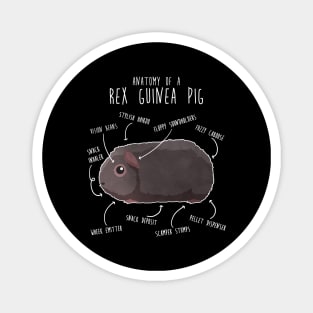 Rex Guinea Pig Anatomy Magnet